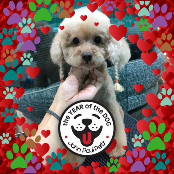 Meet your Posher, Moann - Picture 1 of 1